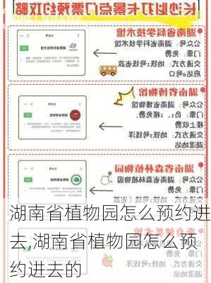 湖南省植物园怎么预约进去,湖南省植物园怎么预约进去的