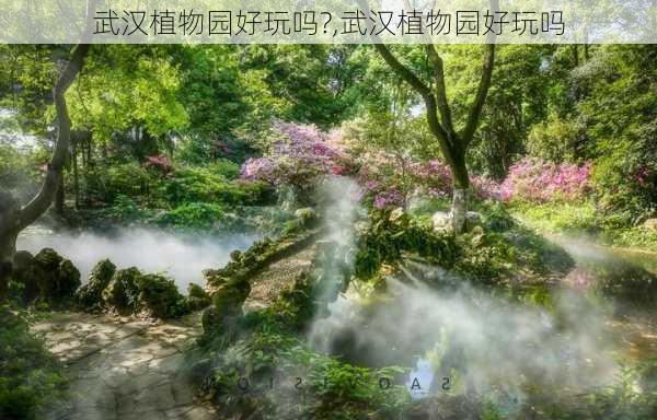 武汉植物园好玩吗?,武汉植物园好玩吗