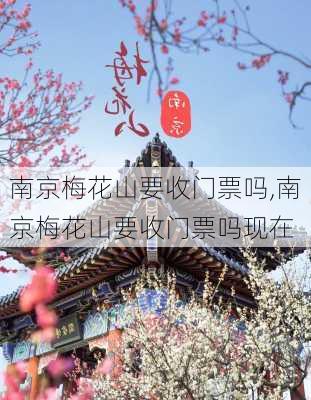 南京梅花山要收门票吗,南京梅花山要收门票吗现在