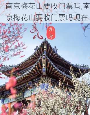 南京梅花山要收门票吗,南京梅花山要收门票吗现在