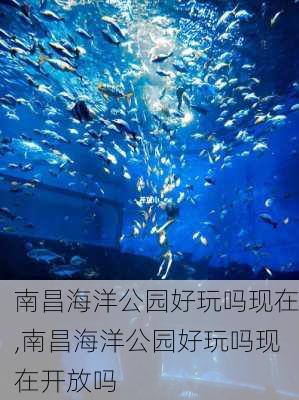 南昌海洋公园好玩吗现在,南昌海洋公园好玩吗现在开放吗