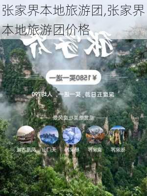 张家界本地旅游团,张家界本地旅游团价格