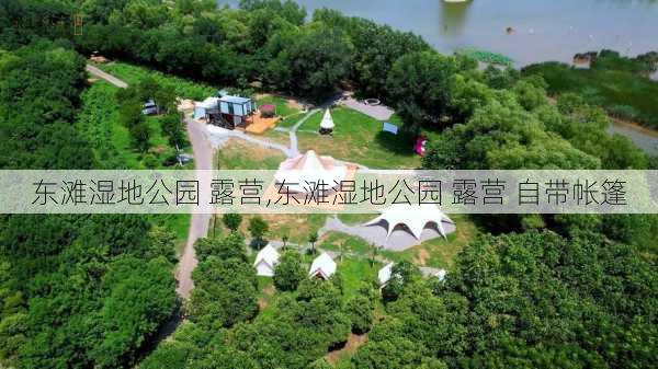 东滩湿地公园 露营,东滩湿地公园 露营 自带帐篷