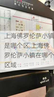 上海佛罗伦萨小镇是哪个区,上海佛罗伦萨小镇在哪个区域