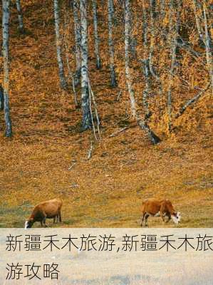 新疆禾木旅游,新疆禾木旅游攻略