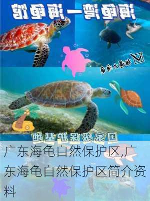 广东海龟自然保护区,广东海龟自然保护区简介资料