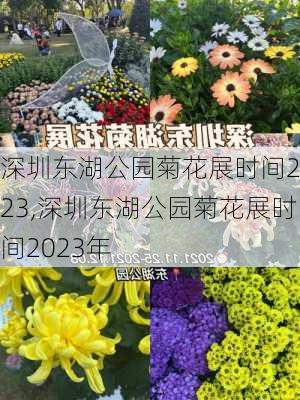 深圳东湖公园菊花展时间2023,深圳东湖公园菊花展时间2023年