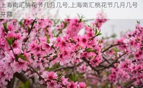 上海南汇桃花节几月几号,上海南汇桃花节几月几号开幕