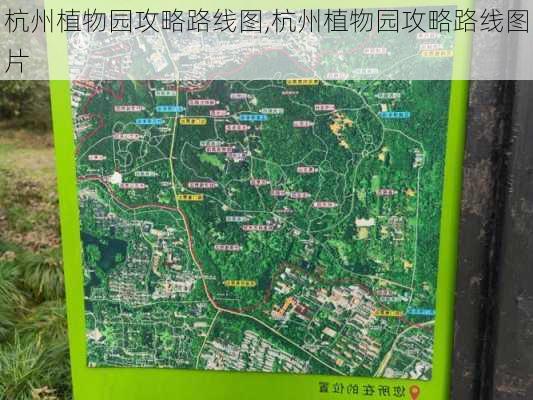 杭州植物园攻略路线图,杭州植物园攻略路线图片