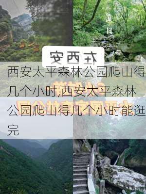 西安太平森林公园爬山得几个小时,西安太平森林公园爬山得几个小时能逛完