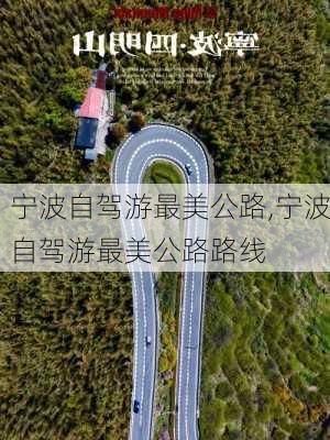 宁波自驾游最美公路,宁波自驾游最美公路路线