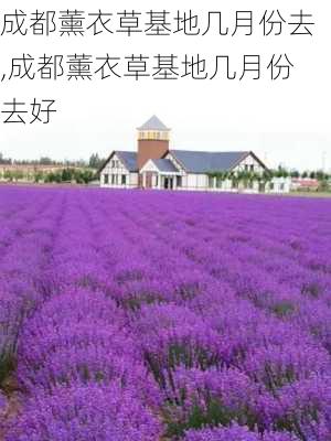 成都薰衣草基地几月份去,成都薰衣草基地几月份去好