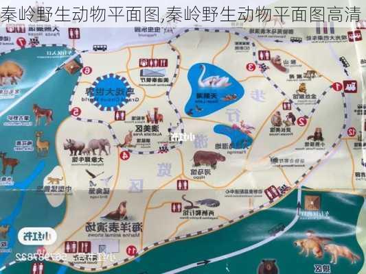 秦岭野生动物平面图,秦岭野生动物平面图高清