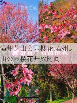 漳州芝山公园樱花,漳州芝山公园樱花开放时间