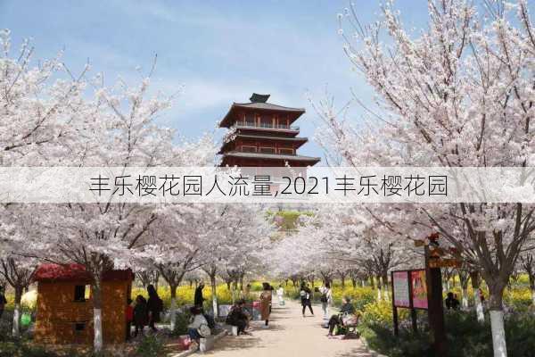 丰乐樱花园人流量,2021丰乐樱花园