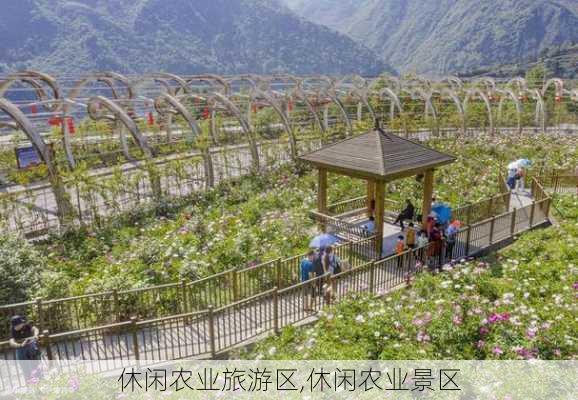 休闲农业旅游区,休闲农业景区