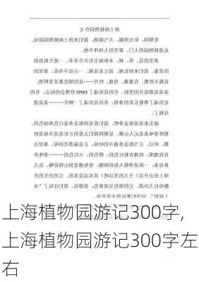 上海植物园游记300字,上海植物园游记300字左右