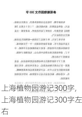 上海植物园游记300字,上海植物园游记300字左右