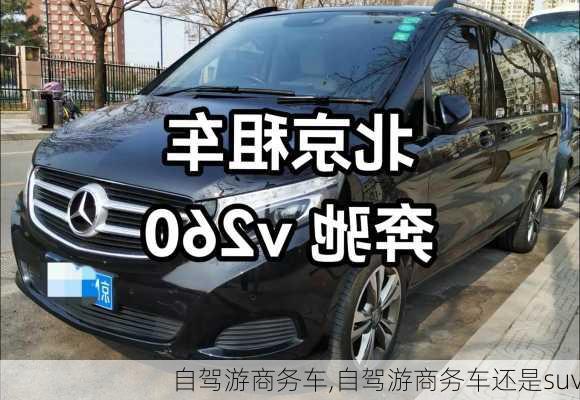 自驾游商务车,自驾游商务车还是suv