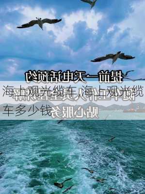 海上观光缆车,海上观光缆车多少钱