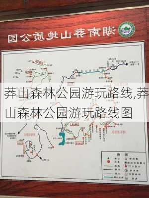 莽山森林公园游玩路线,莽山森林公园游玩路线图