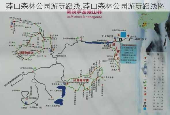 莽山森林公园游玩路线,莽山森林公园游玩路线图