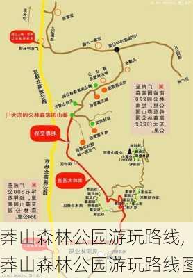 莽山森林公园游玩路线,莽山森林公园游玩路线图