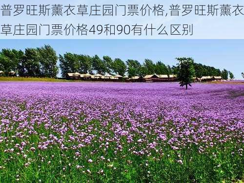 普罗旺斯薰衣草庄园门票价格,普罗旺斯薰衣草庄园门票价格49和90有什么区别