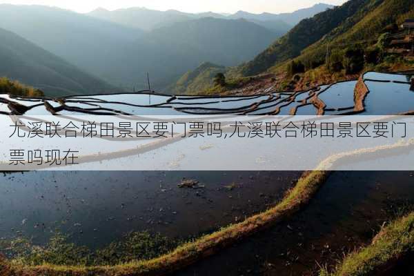 尤溪联合梯田景区要门票吗,尤溪联合梯田景区要门票吗现在