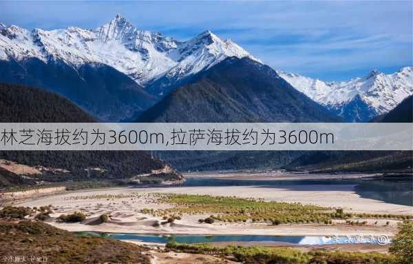 林芝海拔约为3600m,拉萨海拔约为3600m