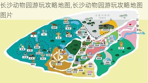 长沙动物园游玩攻略地图,长沙动物园游玩攻略地图图片