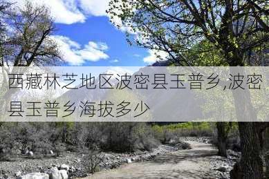 西藏林芝地区波密县玉普乡,波密县玉普乡海拔多少