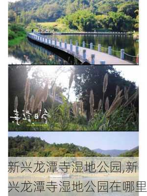 新兴龙潭寺湿地公园,新兴龙潭寺湿地公园在哪里