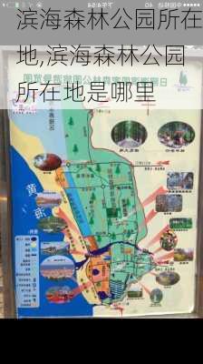 滨海森林公园所在地,滨海森林公园所在地是哪里