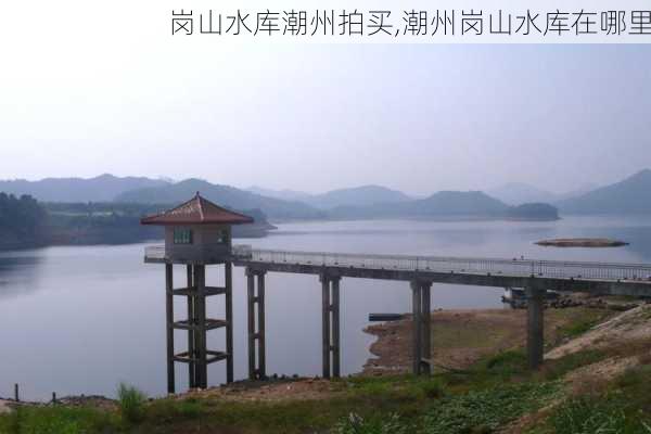 岗山水库潮州拍买,潮州岗山水库在哪里