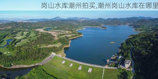 岗山水库潮州拍买,潮州岗山水库在哪里