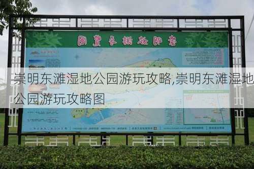 崇明东滩湿地公园游玩攻略,崇明东滩湿地公园游玩攻略图