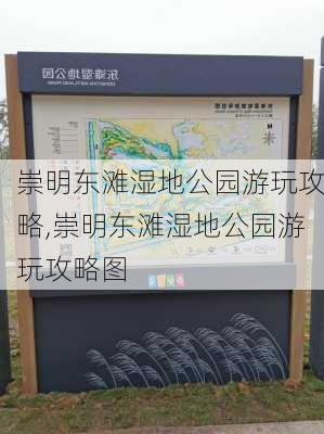 崇明东滩湿地公园游玩攻略,崇明东滩湿地公园游玩攻略图