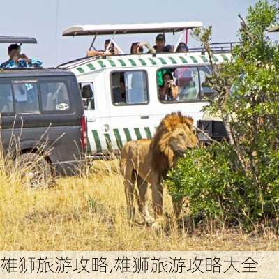 雄狮旅游攻略,雄狮旅游攻略大全