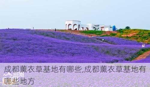 成都薰衣草基地有哪些,成都薰衣草基地有哪些地方