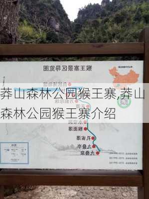 莽山森林公园猴王寨,莽山森林公园猴王寨介绍