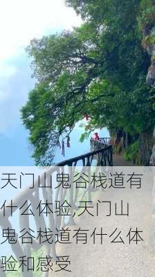 天门山鬼谷栈道有什么体验,天门山鬼谷栈道有什么体验和感受