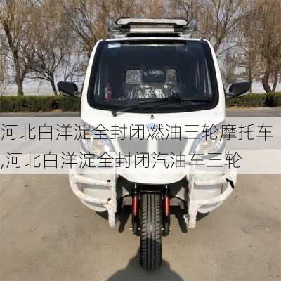 河北白洋淀全封闭燃油三轮摩托车,河北白洋淀全封闭汽油车三轮