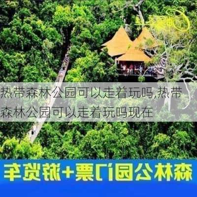 热带森林公园可以走着玩吗,热带森林公园可以走着玩吗现在