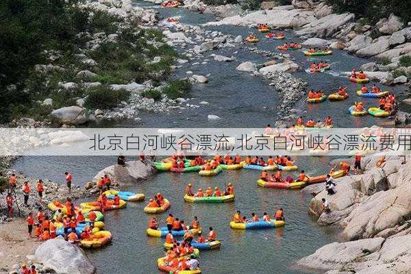 北京白河峡谷漂流,北京白河峡谷漂流费用