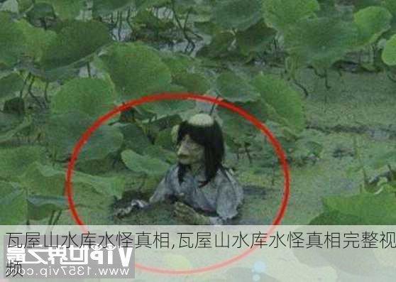 瓦屋山水库水怪真相,瓦屋山水库水怪真相完整视频