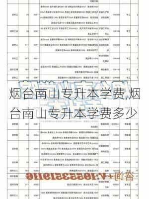 烟台南山专升本学费,烟台南山专升本学费多少