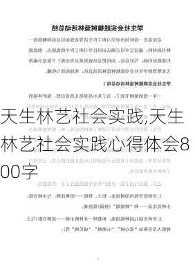 天生林艺社会实践,天生林艺社会实践心得体会800字