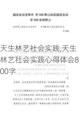 天生林艺社会实践,天生林艺社会实践心得体会800字