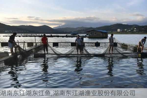 湖南东江湖东江鱼,湖南东江湖渔业股份有限公司